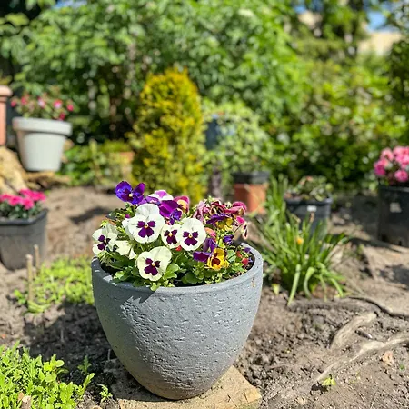 Immostay S#2 - Free Parking & Balkon, Wifi & Naehe Mercedes Benz Appartamento *