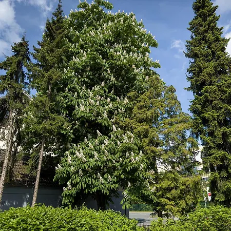 Immostay S#2 - Free Parking & Balkon, Wifi & Naehe Mercedes Benz * Brema