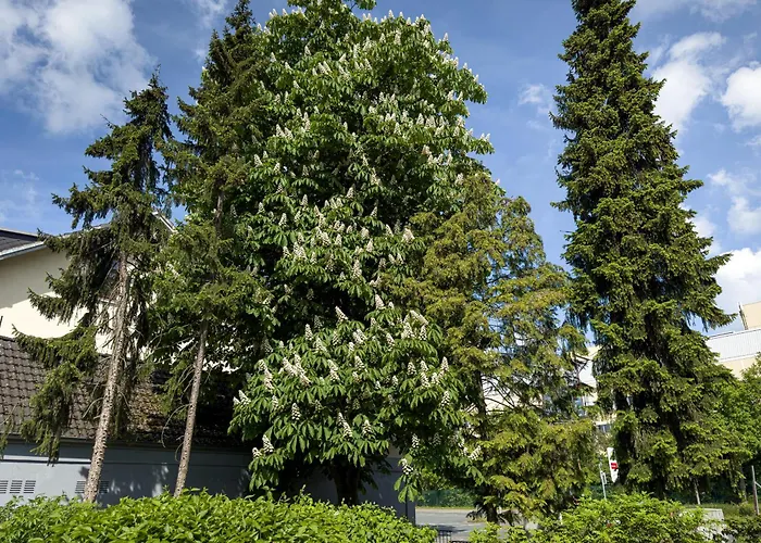 Immostay S#2 - Free Parking & Balkon, Wifi & Naehe Mercedes Benz * Bremen